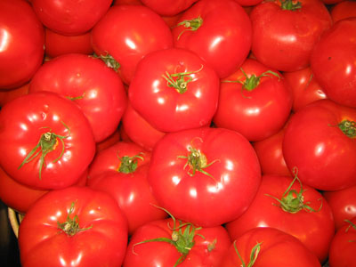 tomatoes